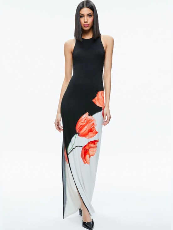 Alice + Olivia Dresses & Skirts - Alice + Olivia Pania Maxi Dress - Size 4